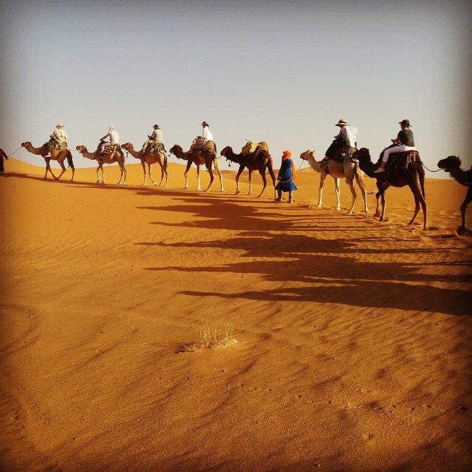 randonnee chameliere dans les desert du merzouga du voyage au maroc