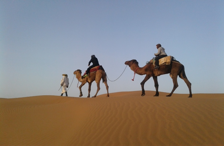balade avec dromadere dans le desert du voyage au maroc