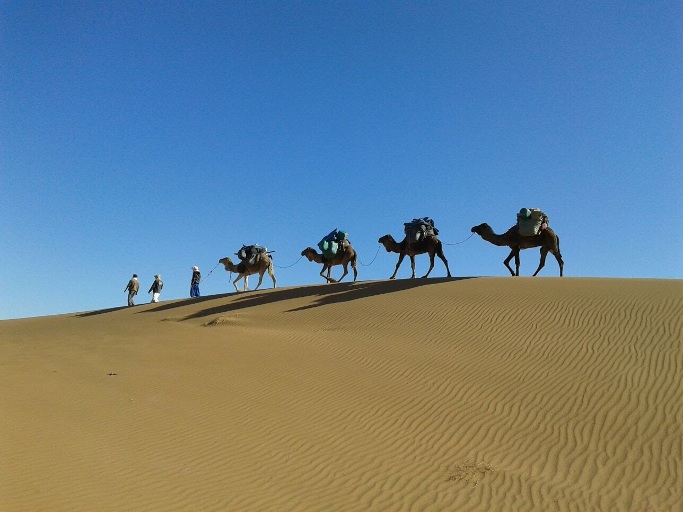caravane dans le desert du voyage au marco