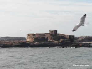 Maroc Atlas l'île de Mogador